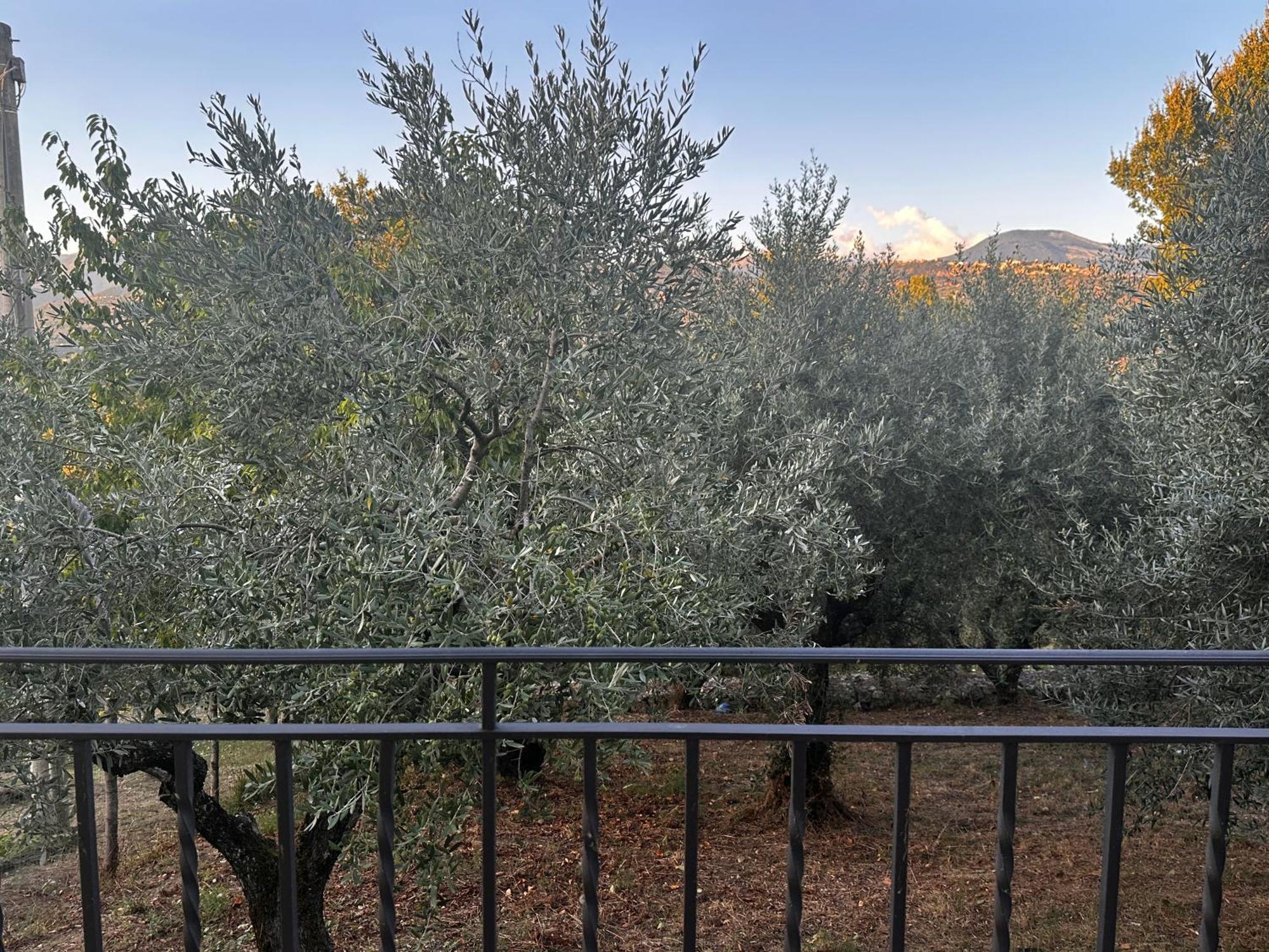 Ferienwohnung La Casa In Collina Veroli Exterior foto